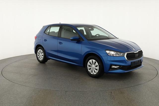 Skoda Fabia Selection 1.0 TSI Selection, Tempomat, Ladeboden, Park, Winterpaket, SmartLink, 4-J Garantie 
