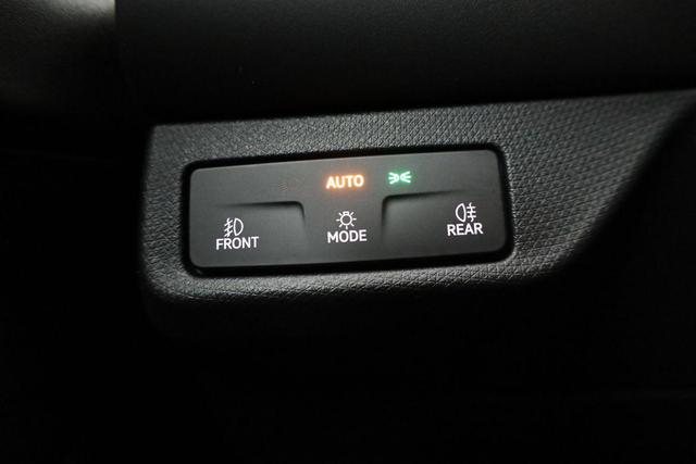 Cupra Terramar 2.0 TSI 150 kW 4Drive DSG 4Drive, Standheizung, AHK, AreaView, sofort 