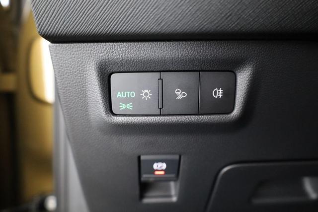 Skoda Kodiaq 2.0 TDI 142 kW 4x4 Selection DSG Selection, 7-Sitzer, AHK, Area, Matrix 
