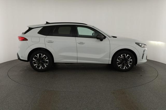 Cupra Terramar 2.0 TSI 150 kW 4Drive DSG 4Drive, Standheizung, AHK, AreaView, sofort 