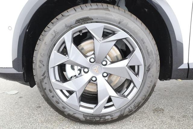 Cupra Formentor 2.0 TDI 110 kW DSG, AHK, Area, Navi, 5-J Garantie 