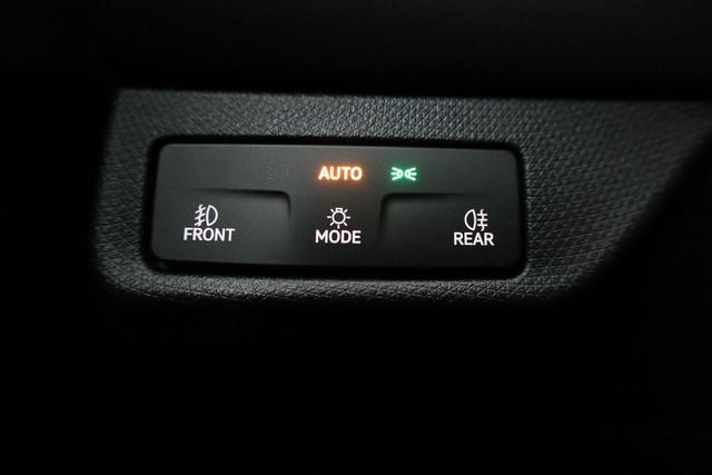 Cupra Terramar 2.0 TSI 150 kW 4Drive DSG 4Drive, Standheizung, AHK, AreaView, sofort 