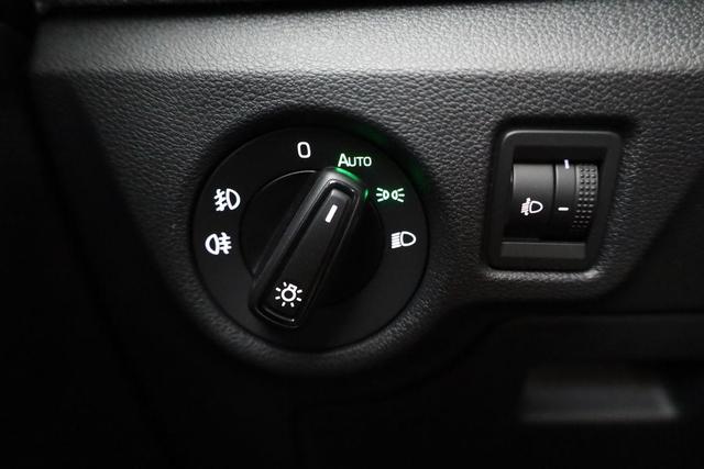 Skoda Kamiq Selection 1.5 TSI Selection, AHK, Kamera, Winter, 4-J Garantie 