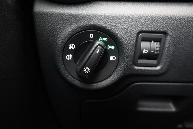 Skoda Fabia Monte Carlo 1.0 TSI DSG Carlo, Kamera, Winter, 4-J Garantie 