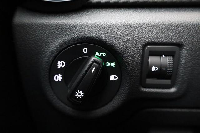 Skoda Fabia Monte Carlo 1.0 TSI Carlo, Kamera, SmartLink, Winter, Ladeboden 