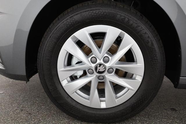 Skoda Fabia Selection 1.0 MPI 130 Jahre, Kamera, Winter, 15-Zoll, Park 