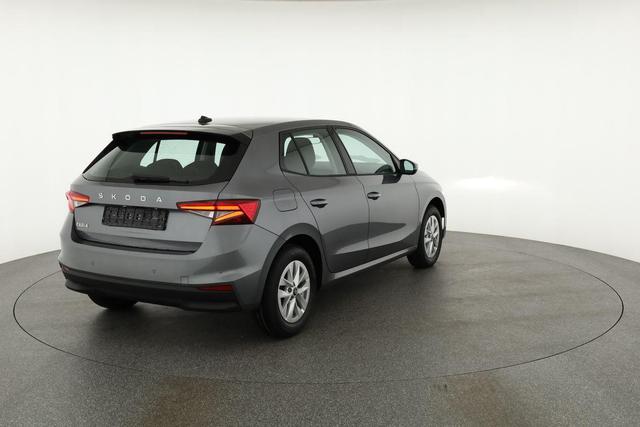 Skoda Fabia Selection 1.0 MPI 130 Jahre, Kamera, Winter, 15-Zoll, Park 