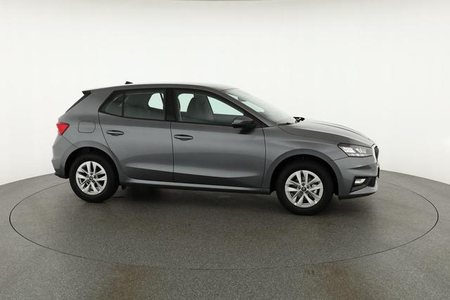 Skoda Fabia Selection 1.0 MPI 130 Jahre, Kamera, Winter, 15-Zoll, Park 
