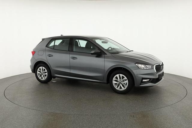 Skoda Fabia Selection 1.0 MPI 130 Jahre, Kamera, Winter, 15-Zoll, Park 