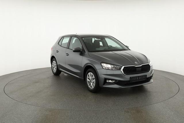 Skoda Fabia Selection 1.0 MPI 130 Jahre, Kamera, Winter, 15-Zoll, Park 