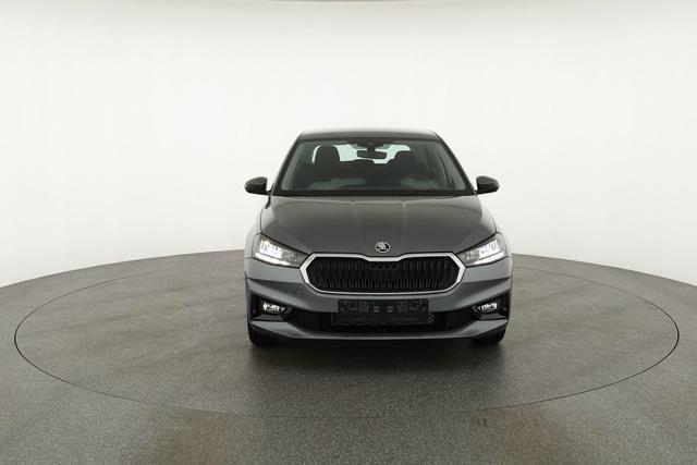 Skoda Fabia Selection 1.0 MPI 130 Jahre, Kamera, Winter, 15-Zoll, Park 