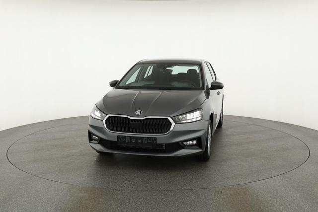 Skoda Fabia Selection 1.0 MPI 130 Jahre, Kamera, Winter, 15-Zoll, Park 