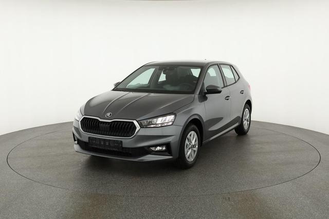 Skoda Fabia Selection 1.0 MPI 130 Jahre, Kamera, Winter, 15-Zoll, Park 