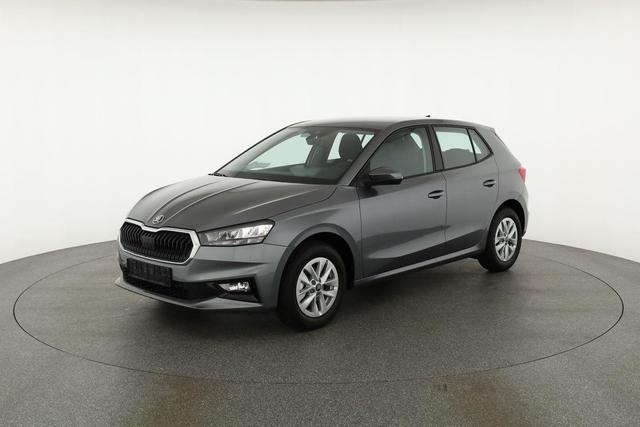 Skoda Fabia Selection 1.0 MPI 130 Jahre, Kamera, Winter, 15-Zoll, Park 
