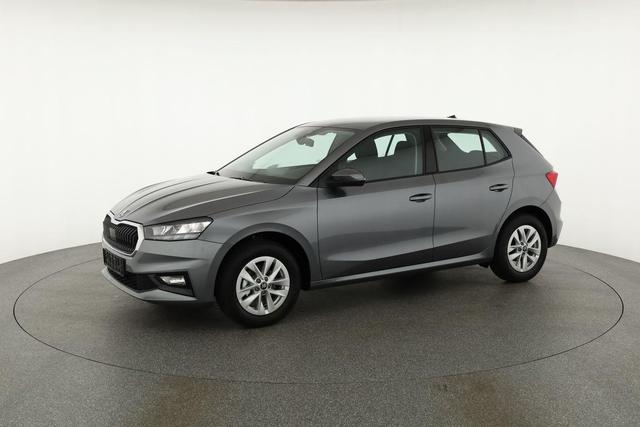 Skoda Fabia Selection 1.0 MPI 130 Jahre, Kamera, Winter, 15-Zoll, Park 