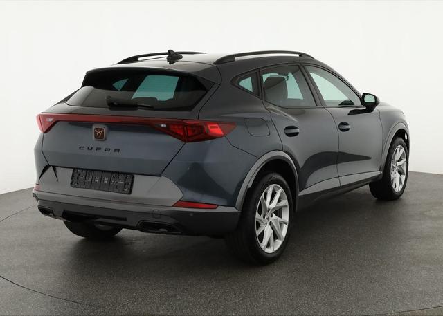 Cupra Formentor Basis 1.5 TSI DSG, Navi, AHK, el. Klappe, Kamera, Parklenk 