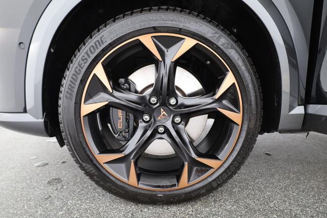 Cupra Formentor VZ 4Drive 2.0 Navi, Kamera, Pano, Side, Winter, el. Klappe 
