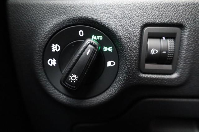 Skoda Fabia Monte Carlo 1.0 TSI DSG Carlo, ACC, Kamera, Winter, 16-Zoll, LED 