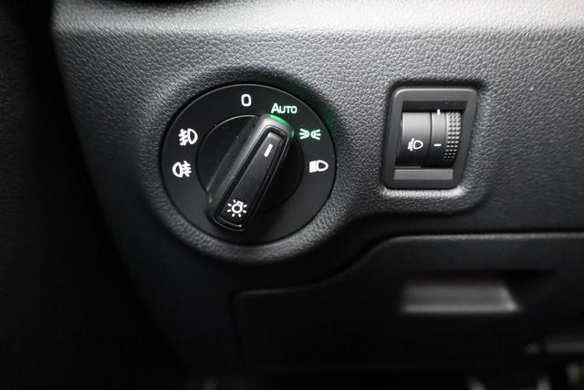 Skoda Fabia Monte Carlo 1.0 TSI DSG Carlo, Kamera, Winter, 4-J Garantie 
