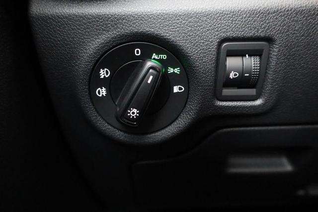 Skoda Fabia Selection 1.0 TSI 130 Jahre, Kamera, Side, Winter, 5-J Garantie, Ladeboden 