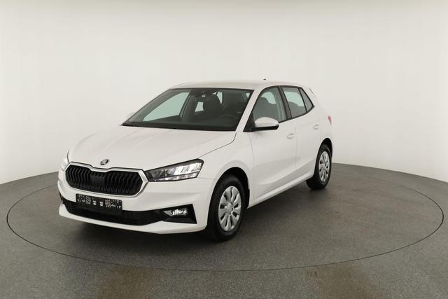Skoda Fabia Selection 1.0 TSI Selection, Park, Winterpaket, SmartLink, 4-J Garantie 