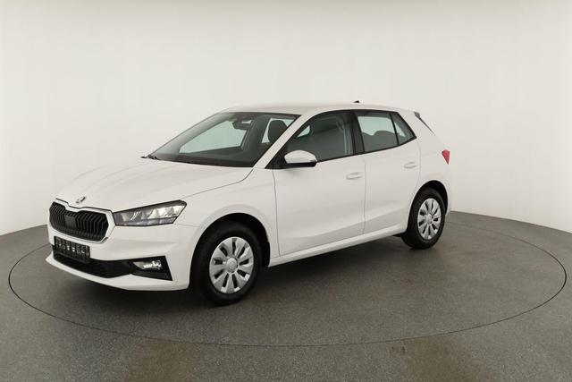 Skoda Fabia Selection 1.0 TSI Selection, Park, Winterpaket, SmartLink, 4-J Garantie 