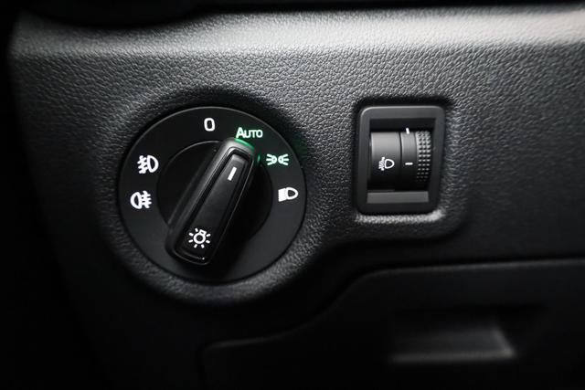 Skoda Fabia Monte Carlo 1.0 TSI DSG Carlo, ACC, Kamera, Winter, 16-Zoll, LED 