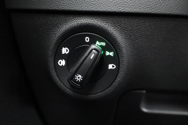 Skoda Karoq Selection 1.5 TSI DSG Selection, AHK, Kamera, Winter, 5-J Garantie 