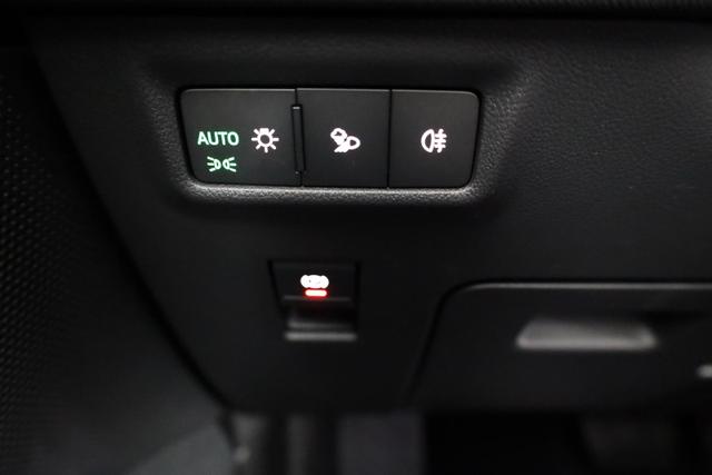 Skoda Kodiaq 2.0 TDI 142kW 4x4 Selection DSG Selection, AHK, Navi, Side, el. Klappe, AreaView, ParkAssist 