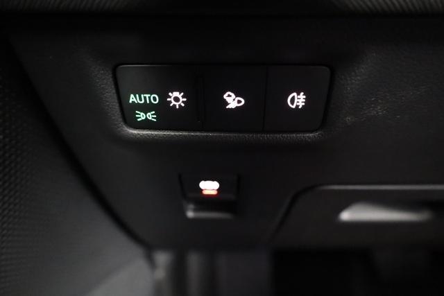 Skoda Kodiaq 2.0 TDI 142 kW 4x4 Selection DSG Selection, 7-Sitzer, AHK, Navi, Side, Kamera, Winter, 19-Zoll 