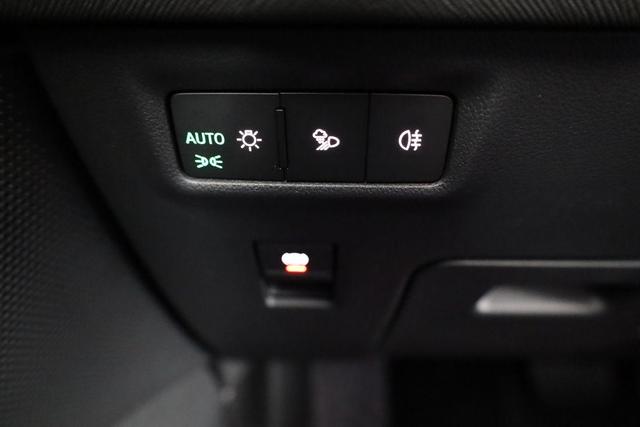 Skoda Kodiaq 2.0 TDI 142kW 4x4 Selection DSG Selection, AHK, Navi, Side, el. Klappe, AreaView, ParkAssist 