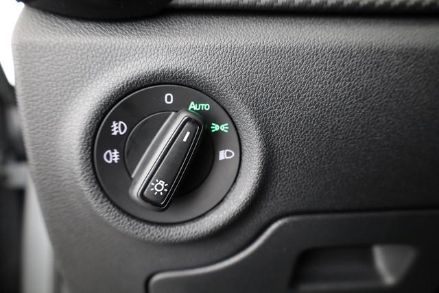 Skoda Fabia Monte Carlo 1.0 TSI Carlo, LED, Kamera, Winter, 17-Zoll, 5.J-Garantie 