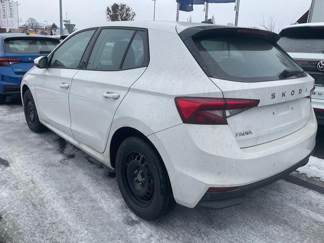 Skoda Fabia Selection 1.0 TSI Selection, Ladeboden, Park, Winterpaket, SmartLink, 4-J Garantie 