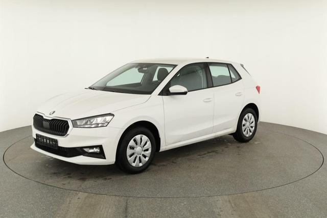 Skoda Fabia Selection 1.0 TSI Selection, Ladeboden, Park, Winterpaket, SmartLink, 4-J Garantie 