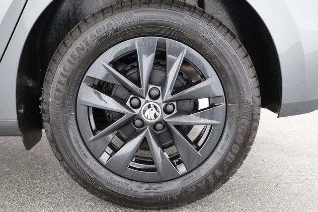 Skoda Fabia Selection 1.0 TSI Selection, Winter, Climatronic, 15-Zoll, Ladeboden 