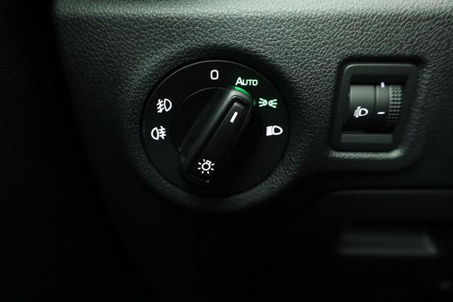 Skoda Fabia Selection 1.0 TSI DSG Selection, LED, Kamera, Side, ACC, Winter, Ladeboden, sofort 