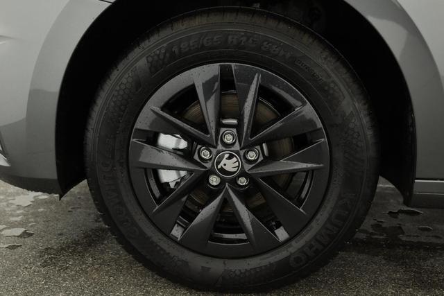 Skoda Fabia Selection 1.0 TSI Selection, LED, Winter, App-Connect, Ladeboden, sofort 