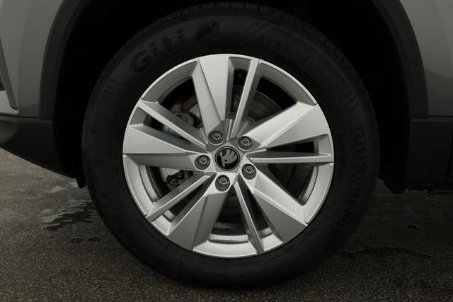 Skoda Karoq Selection 4x4 2.0 TDI DSG Selection, AHK, LED, Kamera, Winter, 4 J.-Garantie 