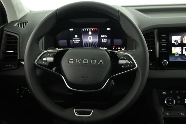 Skoda Karoq Selection 4x4 2.0 TDI DSG Selection, AHK, LED, Kamera, Winter, 4 J.-Garantie 