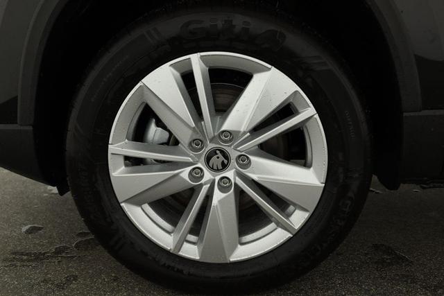 Skoda Karoq Selection 4x4 2.0 TDI DSG Selection, AHK, LED, Kamera, Winter, 4 J.-Garantie 
