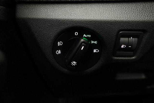 Skoda Kamiq Selection 1.0 TSI Selection, AHK, LED, Kamera, Ladeboden, Winter 