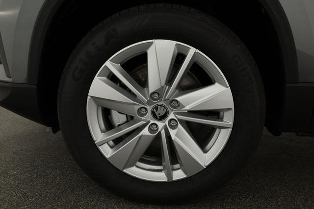 Skoda Karoq Selection 4x4 2.0 TDI DSG Selection, AHK, Navi, LED, Kamera, Winter, el. Klappe, 4 J.-Garantie 