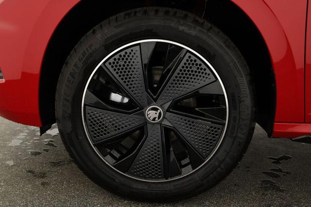 Skoda Kamiq Monte Carlo 1.0 TSI Carlo, Matrix, Pano, Kamera, Winter, 17-Zoll 