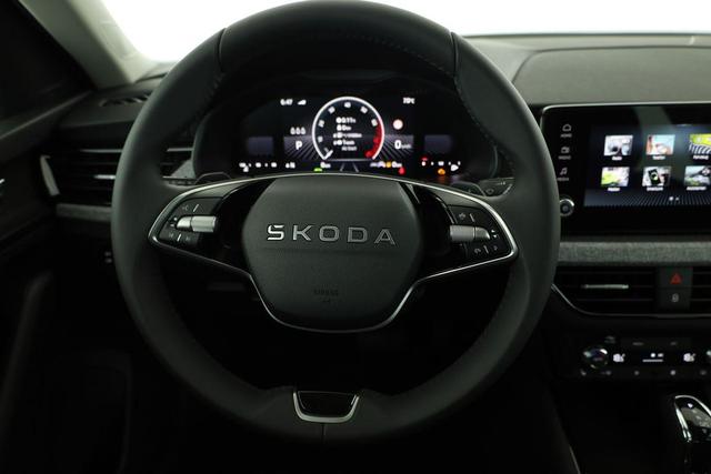 Skoda Kamiq Selection 1.0 TSI DSG Selection, AHK, Matrix, Kamera, Ladeboden, Winter 