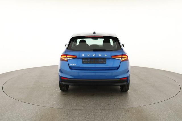 Skoda Fabia Selection 1.0 TSI Selection, Tempomat, Park, Winterpaket, SmartLink, 4 J.-Garantie 