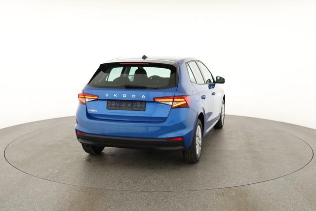 Skoda Fabia Selection 1.0 TSI Selection, Tempomat, Park, Winterpaket, SmartLink, 4 J.-Garantie 