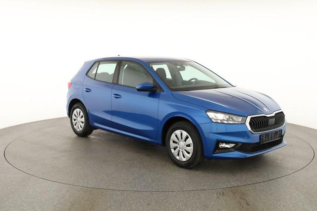 Skoda Fabia Selection 1.0 TSI Selection, Tempomat, Park, Winterpaket, SmartLink, 4 J.-Garantie 