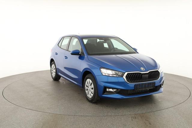 Skoda Fabia Selection 1.0 TSI Selection, Tempomat, Park, Winterpaket, SmartLink, 4 J.-Garantie 