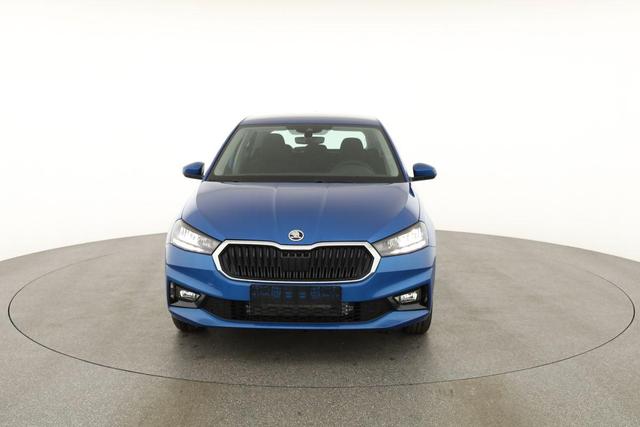 Skoda Fabia Selection 1.0 TSI Selection, Tempomat, Park, Winterpaket, SmartLink, 4 J.-Garantie 