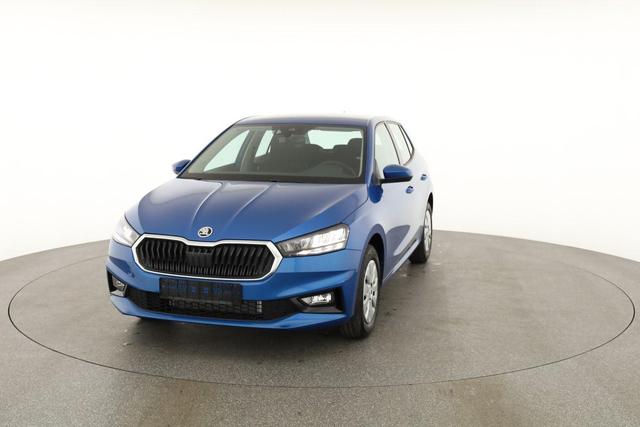 Skoda Fabia Selection 1.0 TSI Selection, Tempomat, Park, Winterpaket, SmartLink, 4 J.-Garantie 